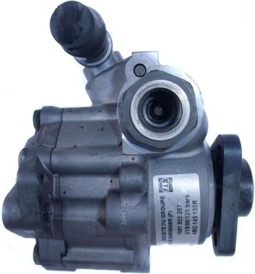 SPIDAN Servopumpe 54249 Servostyring pumpe SPIDAN CABRIOLET 54249 billig