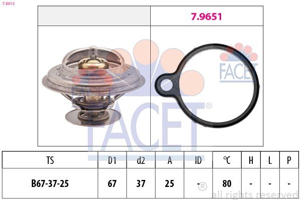 FACET Thermostat d'eau 7.8613 Calorstat FACET 190 7.8613 pas cher