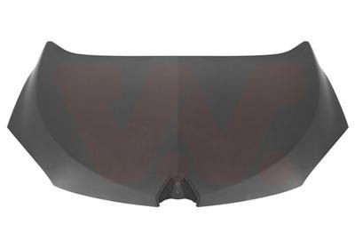 VAN WEZEL Cofano 4377660 4377660 Cofano anteriore RENAULT MEGANE VAN WEZEL costo