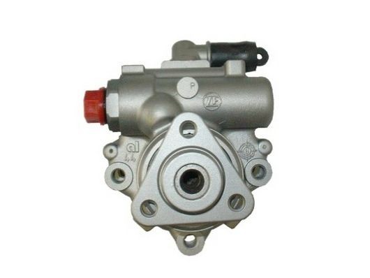 SPIDAN Servopumpe 53923 Servostyringspumpe SPIDAN BORA 53923 billige