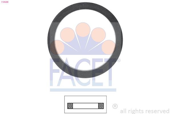 FACET Guarnizione, Termostato 7.9539 FACET 7.9539 Guarnizione, Termostato FORD Fiesta Mk3 Hatchback (GFJ) 1.4 Cat 73 CV 1989