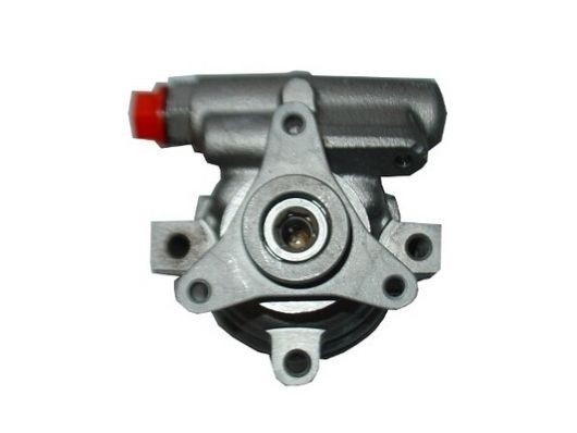 SPIDAN Roolivõimu pump 53973 Roolivõimendi pump SPIDAN CLIO 53973 odav