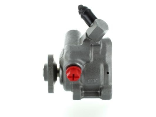 SPIDAN Roolivõimu pump 53851 SPIDAN 53851 Hüdraulikapump roolimine Ford Windstar A3 hind