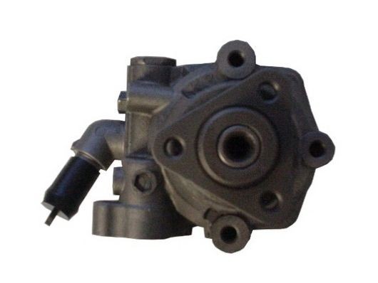 SPIDAN Servopumpe 52669 52669 Styreservopumpe SUZUKI BALENO SPIDAN