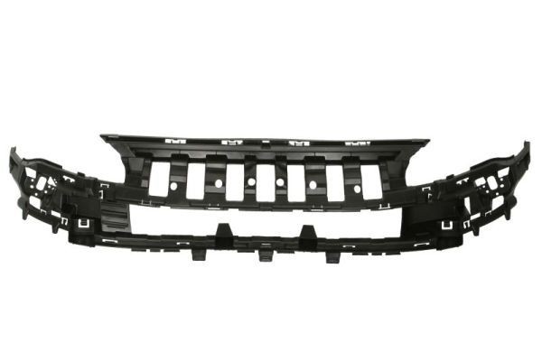 BLIC Radiator grill 5502-00-0552942P BLIC 5502-00-0552942P Radiator grill CITROЁN Berlingo / Berlingo First I (MF, GJK, GFK) 1.6 HDI 92 Pk 2010