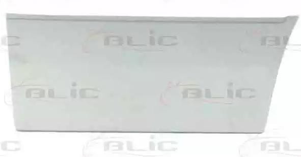 BLIC Ovi, kori 6015-00-3546122P BLIC 6015-00-3546122P VW Lupo 5Z1 ovi yksittäisosat vaihto hinta