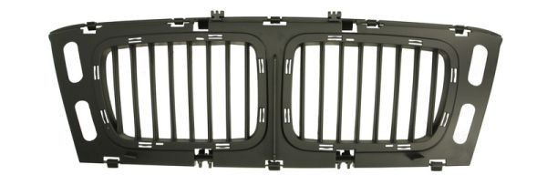 BLIC Grelha de radiador 6502-07-0057999P BLIC 6502-07-0057999P Grelha frontal BMW E34 Touring baratos