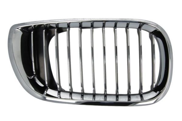 BLIC Radiator Grille 6502-07-0061992PP BLIC 6502-07-0061992PP JAGUAR E-PACE radiator grille replacement