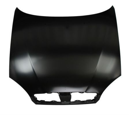 Motorhaube BLIC 6803-00-1106280P 6803-00-1106280P BLIC Motorhaube LANOS 2001 original