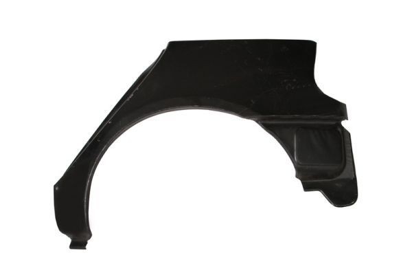 Wing fender BLIC 6504-03-6038531P BLIC 6504-03-6038531P Wing Renault SCÉNIC 1999