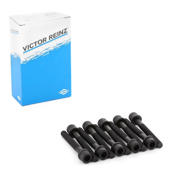 Bolt Kit, cylinder head REINZ 14-32046-01 REINZ 14-32046-01 Volkswagen VENTO 2023 Cylinder head bolt kit price