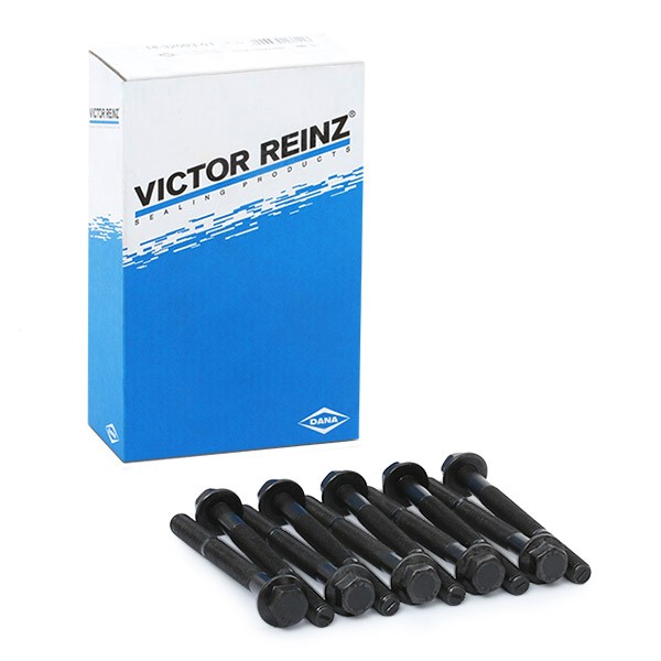 REINZ Kit bulloni testata 14-32093-01 REINZ 14-32093-01 Kit bulloni testata