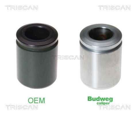 TRISCAN Stempel, bremsecaliper 8170 233848 Stempel bremsecaliper TRISCAN Jaguar XK 8170 233848