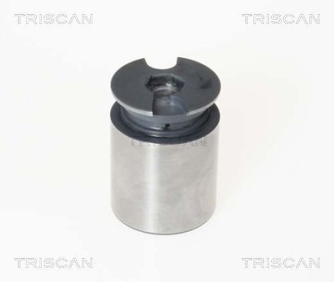 TRISCAN Virzulis, Bremžu suports 8170 233863 Virzulis bremžu suports TRISCAN Jaguar XK 8170 233863