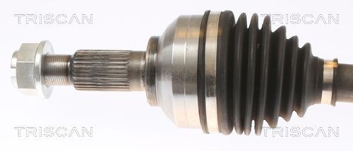 TRISCAN Pakkingsset, motorblok 595-2582 Pakkingsset motorblok TRISCAN LYBRA 595-2582 goedkoop