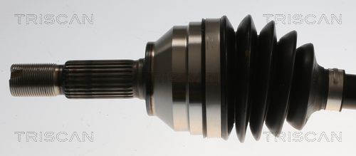 TRISCAN Σετ στεγανοπ., στροφαλοθάλαμος 595-3003 595-3003 Σετ επισκευής στροφαλοθάλαμος HONDA INSIGHT TRISCAN