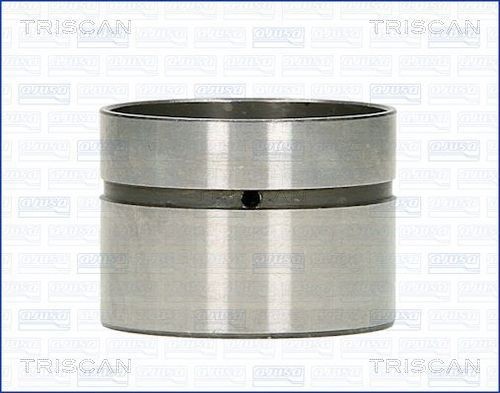 TRISCAN Ωστήριο βαλβίδας 80-11000 Ωστήριο βαλβίδας TRISCAN MGB 80-11000 φθηνά