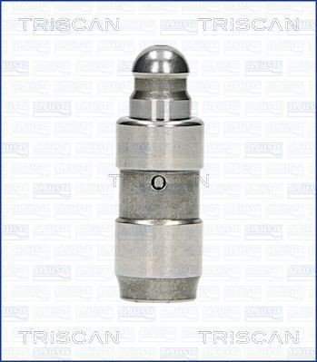 TRISCAN Ventillyftare 80-24003 80-24003 Ventillyftare TRISCAN FIAT BRAVO