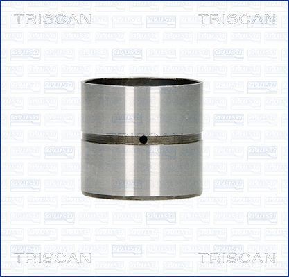 TRISCAN Ventilløfter 80-25005 Ventilløfter TRISCAN 2CV 80-25005 billige
