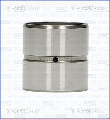 TRISCAN Klepstoter 80-29001 Volkswagen TOUAREG Hydraulische klepstoters TRISCAN 80-29001