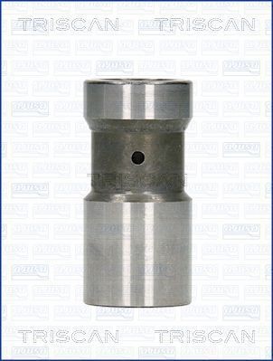 TRISCAN Ventillyftare 80-29004 80-29004 TRISCAN ventiltryckare Volkswagen TOURAN