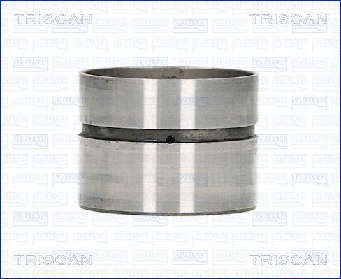 TRISCAN Poussoir hydraulique 80-29010 Poussoir TRISCAN TOUAREG 80-29010 pas cher