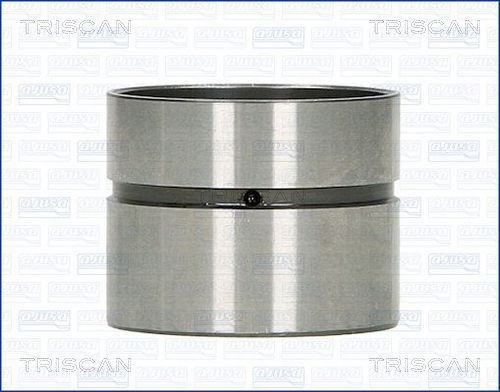 TRISCAN Poussoir hydraulique 80-43000 80-43000 TRISCAN Poussoir Subaru pas cher