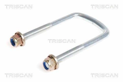 TRISCAN Vedrukammits 8765 250001 Pehmendus RENAULT Master I Buss: Vedrukammits TRISCAN 8765 250001