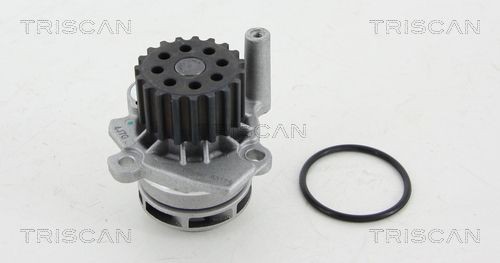 TRISCAN Vannpumpe 8600 29053 Vannpumpe TRISCAN LEON 8600 29053 billige