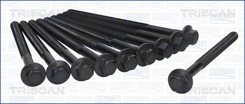 TRISCAN Syl.kannen pulttisarja 98-1505 98-1505 TRISCAN Kannen pultit ROVER