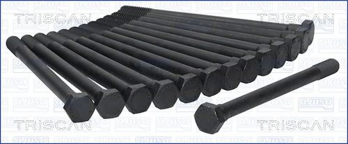 TRISCAN Bolt Kit, cylinder head 98-1704 98-1704 TRISCAN cylinder head bolts BMW Z4
