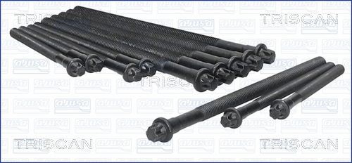 TRISCAN Bolt Kit, cylinder head 98-1713 98-1713 TRISCAN cylinder head bolts for BMW Z4