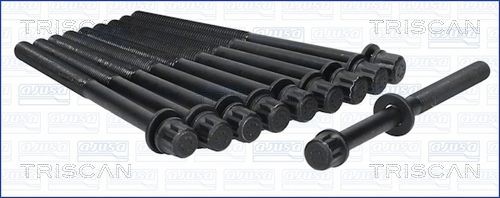 TRISCAN Jeu de boulons de culasse de cylindre 98-3001 Jeu de vis de culasse TRISCAN CONCERTO 98-3001 pas cher