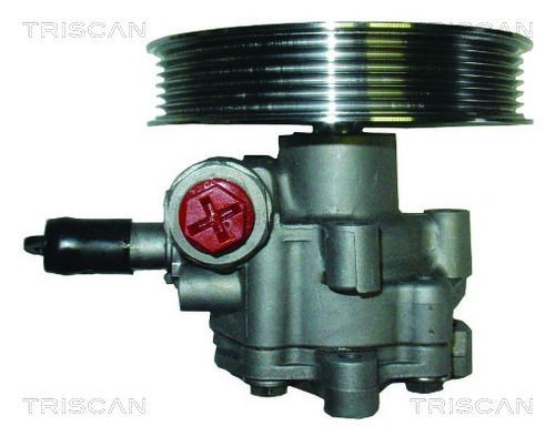 TRISCAN Servopumpe 8515 29642 8515 29642 Servopumpe AUDI 100 TRISCAN