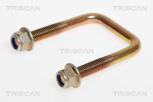TRISCAN Ζυγκιά 8765 160004 Πακέτο ελατηρίων TRISCAN FORD 8765 160004