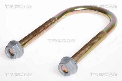 TRISCAN Veerklem 8765 160005 Mazda 121 Veerblad TRISCAN 8765 160005