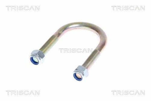 TRISCAN Veerklem 8765 160006 Mazda 121 Bladveren TRISCAN 8765 160006