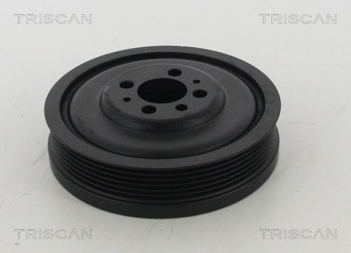 TRISCAN Piedziņas skriemelis, Kloķvārpsta 8643 29008 Piedziņas skriemelis kloķvārpsta TRISCAN Audi A1 8643 29008