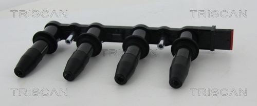 TRISCAN Aizdedzes spole 8860 24017 8860 24017 Aizdedzes spole FIAT SIENA TRISCAN