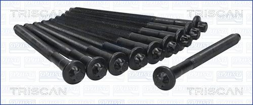 TRISCAN Jeu de boulons de culasse de cylindre 98-5520 98-5520 Vis de culasse TRISCAN CITROЁN XSARA