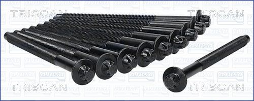 TRISCAN Syl.kannen pulttisarja 98-5527 98-5527 TRISCAN Sylinterikannen pulttisarja CITROЁN XSARA