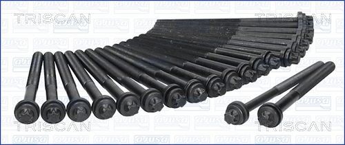 TRISCAN Jeu de boulons de culasse de cylindre 98-5530 Vis de culasse TRISCAN XSARA 98-5530 pas cher