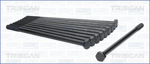 TRISCAN Topbolte-sæt 98-6007 Strækbolte TRISCAN Peugeot 508 98-6007