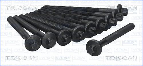 TRISCAN Kit bulloni testata 98-6008 98-6008 Kit bulloni testata TRISCAN Nissan
