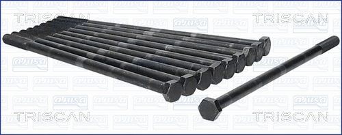 TRISCAN Topplocksbultsats 98-6009 98-6009 TRISCAN bultsats topplock PEUGEOT 406
