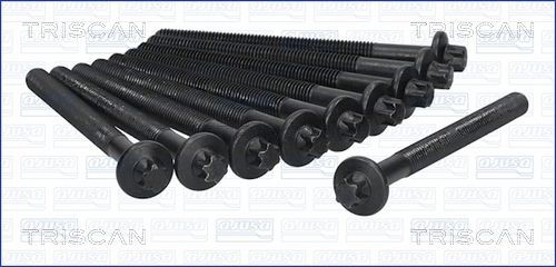 TRISCAN Kit bulloni testata 98-6012 98-6012 TRISCAN Bulloni testata NISSAN prezzo