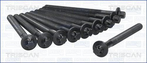 TRISCAN Topplokksbolter 98-6013 Strekkbolter SUZUKI TRISCAN 98-6013