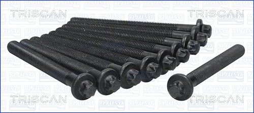 TRISCAN Topplokksbolter 98-6014 Topplokksbolter TRISCAN Nissan X-TRAIL 98-6014