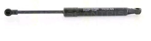 TRISCAN Gasveer motorkap 8710 25107 8710 25107 Gasveer motorkap KIA NIRO TRISCAN