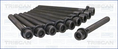 TRISCAN Kit bulloni testata 98-8501 98-8501 costo Bulloni testata TRISCAN PORSCHE 911